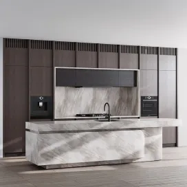 Kitchen Appliance Bosch Kitchen No 2